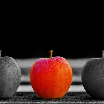 red apple on black and white background